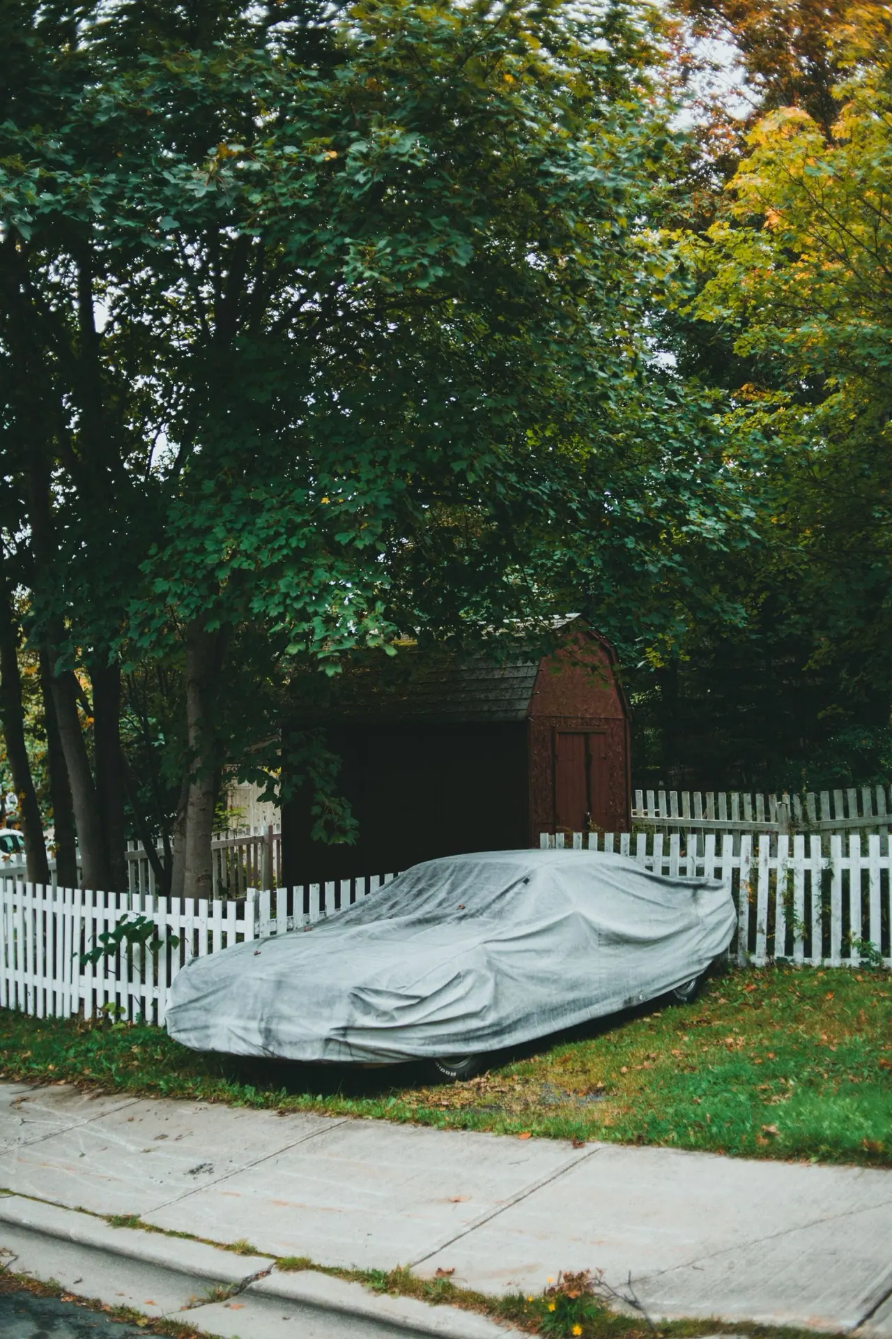 A car under a fitted grey cover parked on a lawn beside a fence